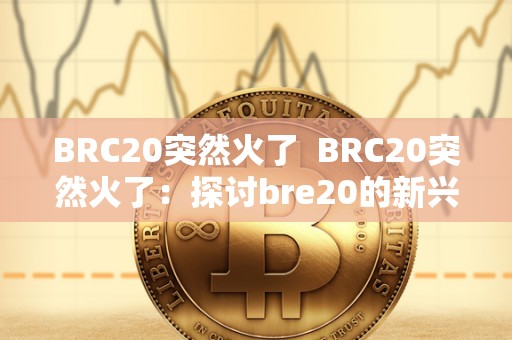 BRC20突然火了 BRC20突然火了：探讨bre20的新兴趋势与市场前景