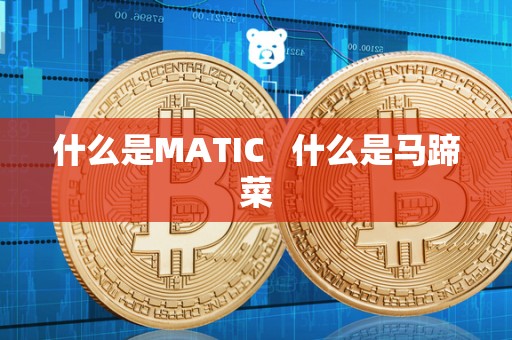 什么是MATIC 什么是马蹄菜