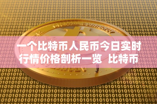 一个比特币人民币今日实时行情价格剖析一览 比特币人民币今日实时行情价格剖析一览及比特币今日人民币多少钱