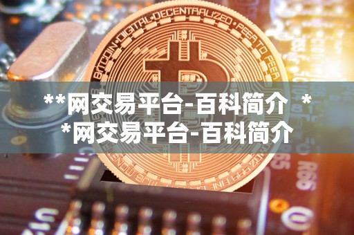 **网交易平台-百科简介 **网交易平台-百科简介