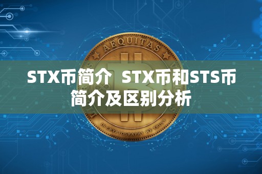 STX币简介 STX币和STS币简介及区别分析