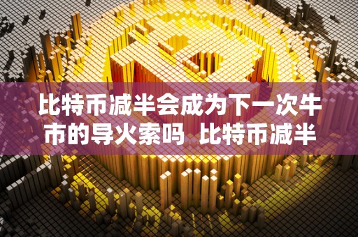 比特币减半会成为下一次牛市的导火索吗 比特币减半会成为下一次牛市的导火索吗