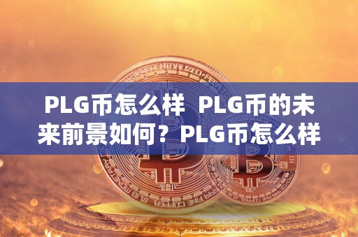 PLG币怎么样 PLG币的未来前景如何？PLG币怎么样？