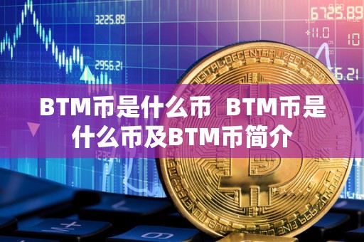 BTM币是什么币 BTM币是什么币及BTM币简介