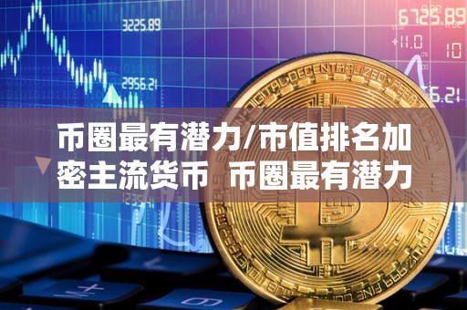 币圈最有潜力/市值排名加密主流货币 币圈最有潜力的加密货币市值排名及主流货币分析