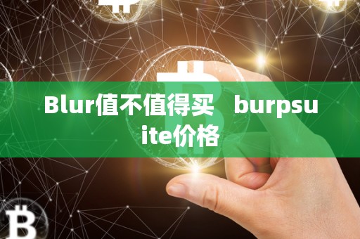 Blur值不值得买 burpsuite价格