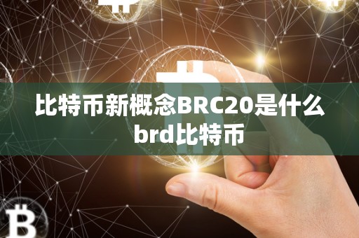 比特币新概念BRC20是什么 brd比特币