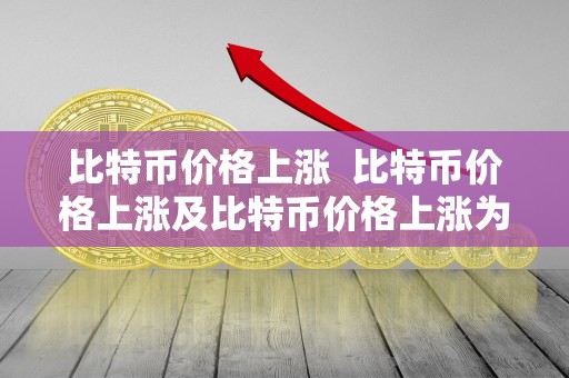 比特币价格上涨 比特币价格上涨及比特币价格上涨为什么会爆仓