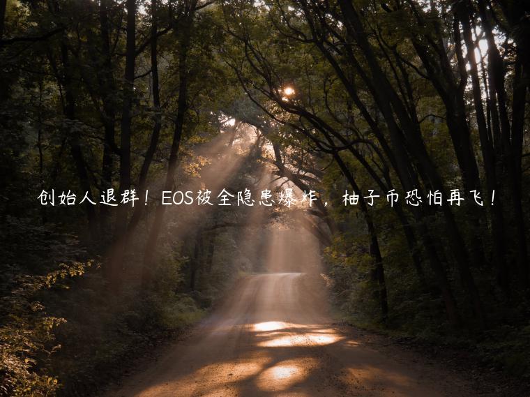 创始人退群！OS被全隐患爆炸，柚子币恐怕再飞！-第1张图片-binance下载