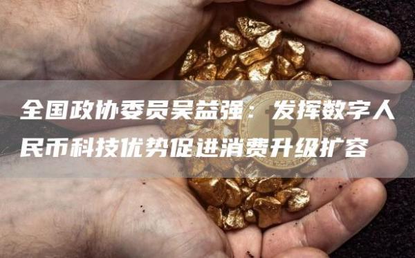 全国政协委员吴益强：发挥数字人民币科技优势促进消费升级扩容1