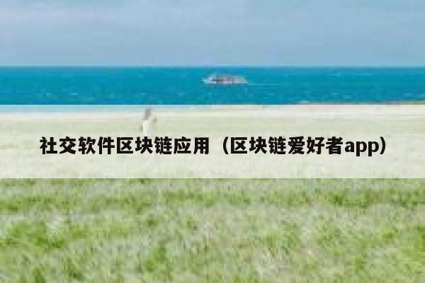 社交软件区块链应用（区块链爱好者app）-第1张图片-binance下载