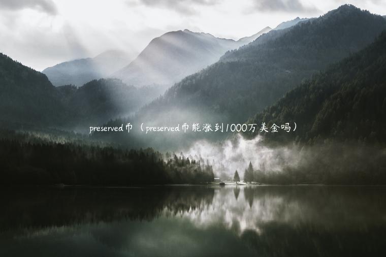 prsrvd币（prsrvd币能涨到1000万美金吗）-第1张图片-binance下载