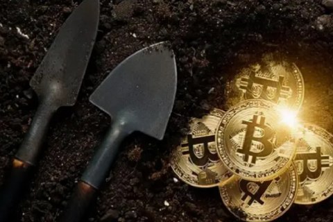 抹茶网(v6.1.31)_十大交易所app下载6