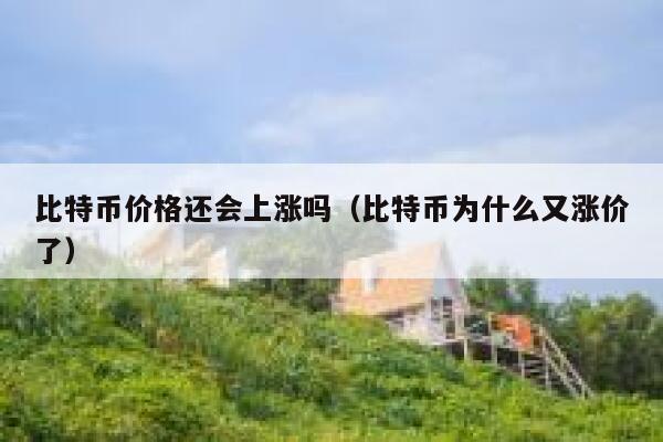 比特币价格还会上涨吗（比特币为什么又涨价了）-第1张图片-binance下载