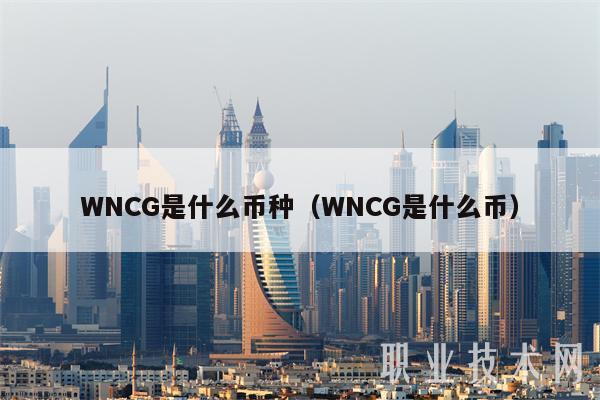 WNCG是什么币种（WNCG是什么币-第1张图片-binance下载