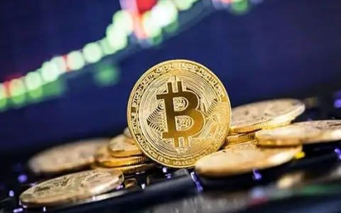 binance交易平台更新软件下载(v6.1.41)|国际交易平台软件下载-第11张图片-binance下载