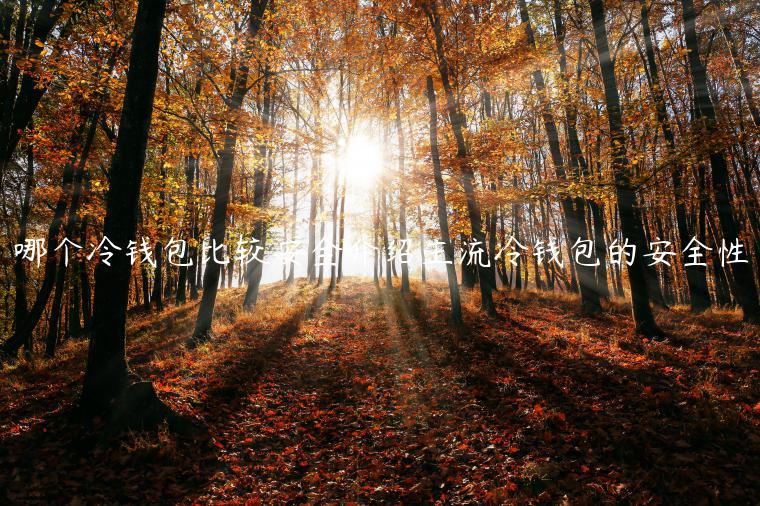 哪个冷钱包比较安全介绍主流冷钱包的安全性-第1张图片-binance下载