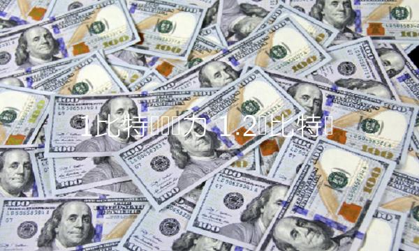 1比特币购买力-第1张图片-binance下载