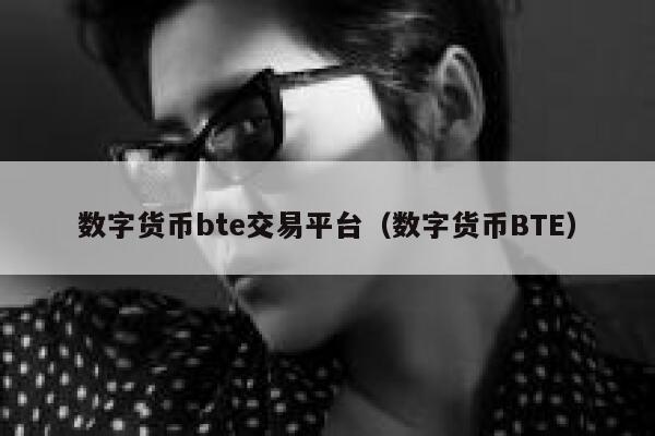 数字货币bt交易平台（数字货币BT）-第1张图片-binance下载
