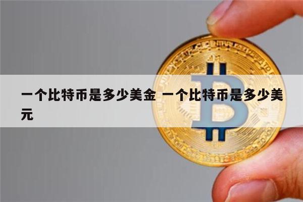 一个比特币是多少美金 一个比特币是多少美元 第1张 一个比特币是多少美金 一个比特币是多少美元 第1张